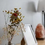 Cozy By Booklapland