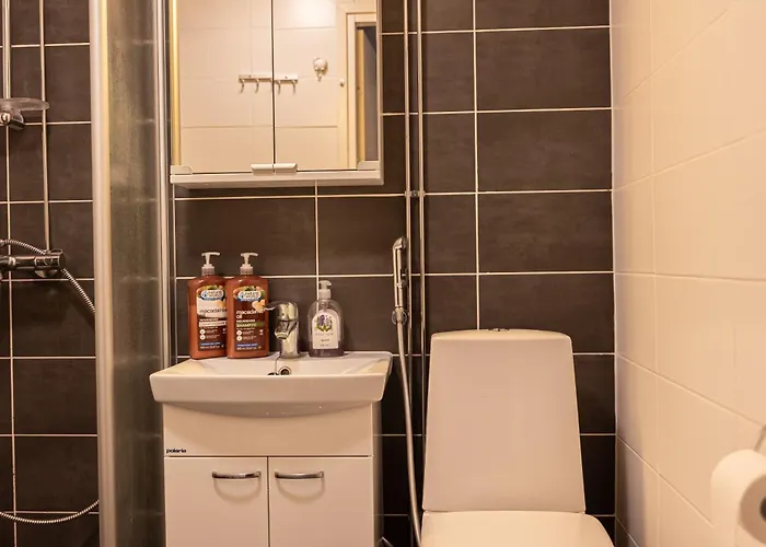 Διαμέρισμα Cozy By Booklapland Ροβανιέμι